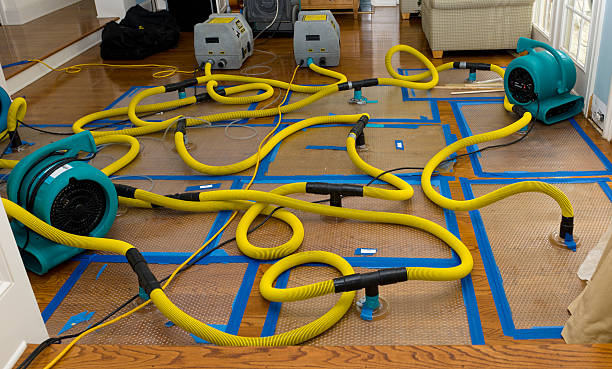 Professional Flood Damage Restoration technician working in Garrett Park, MD